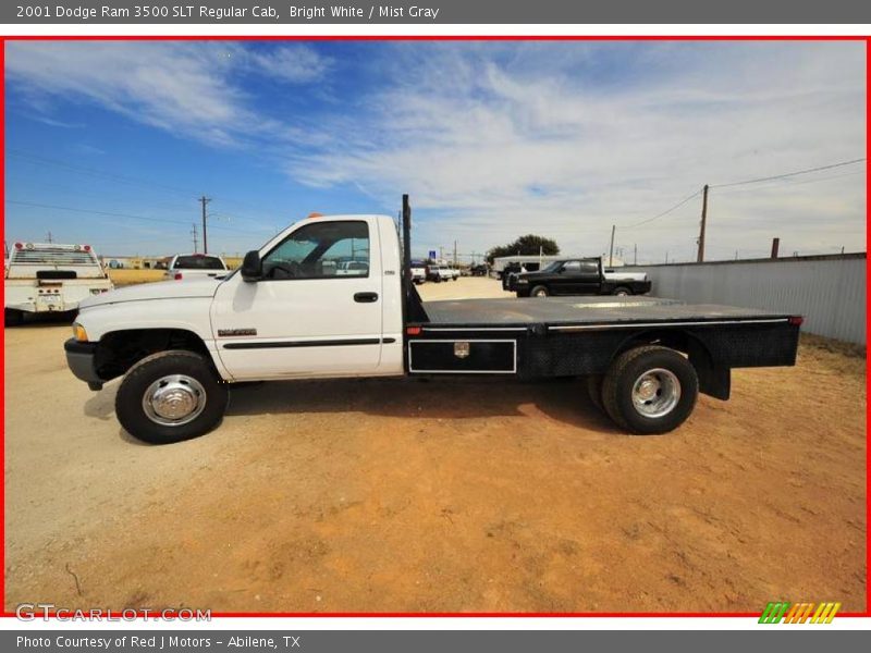 Bright White / Mist Gray 2001 Dodge Ram 3500 SLT Regular Cab