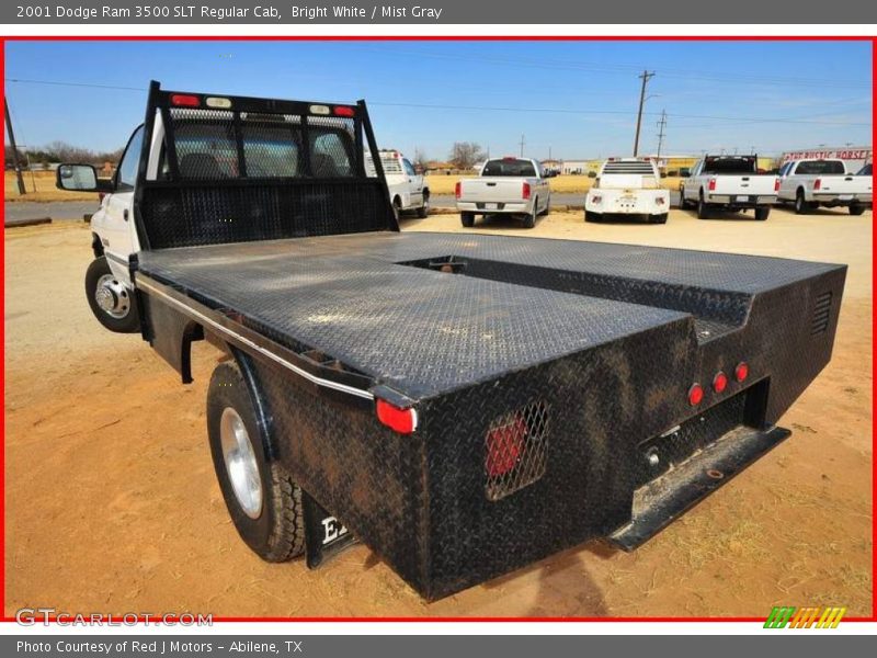 Bright White / Mist Gray 2001 Dodge Ram 3500 SLT Regular Cab