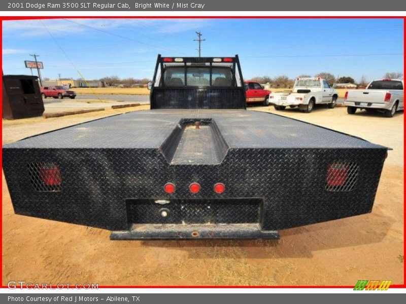 Bright White / Mist Gray 2001 Dodge Ram 3500 SLT Regular Cab