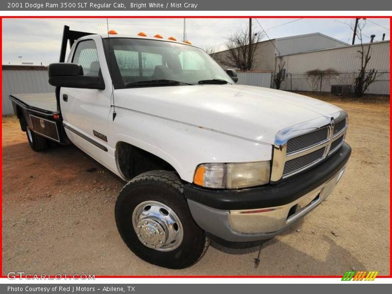 Bright White / Mist Gray 2001 Dodge Ram 3500 SLT Regular Cab