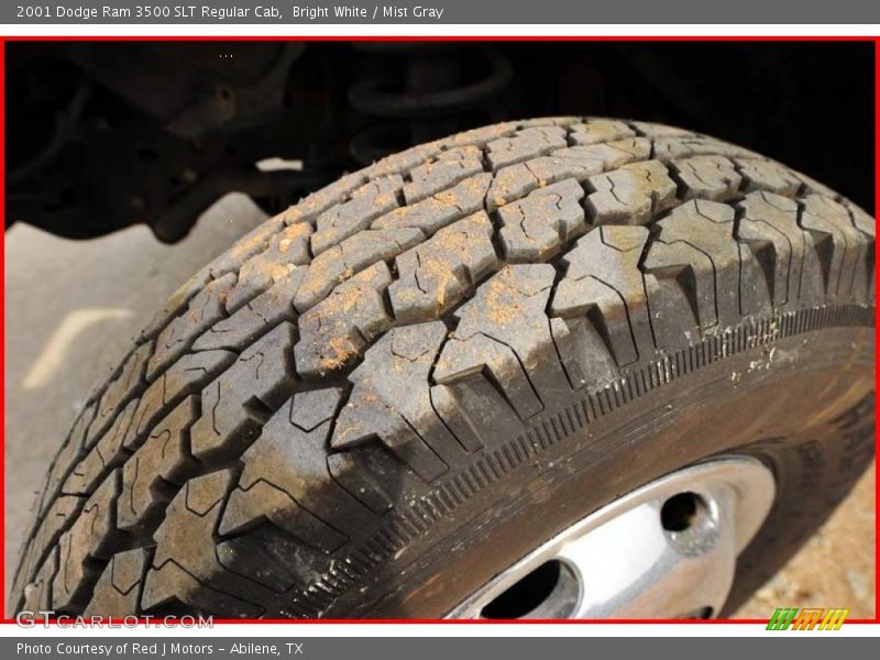 Bright White / Mist Gray 2001 Dodge Ram 3500 SLT Regular Cab