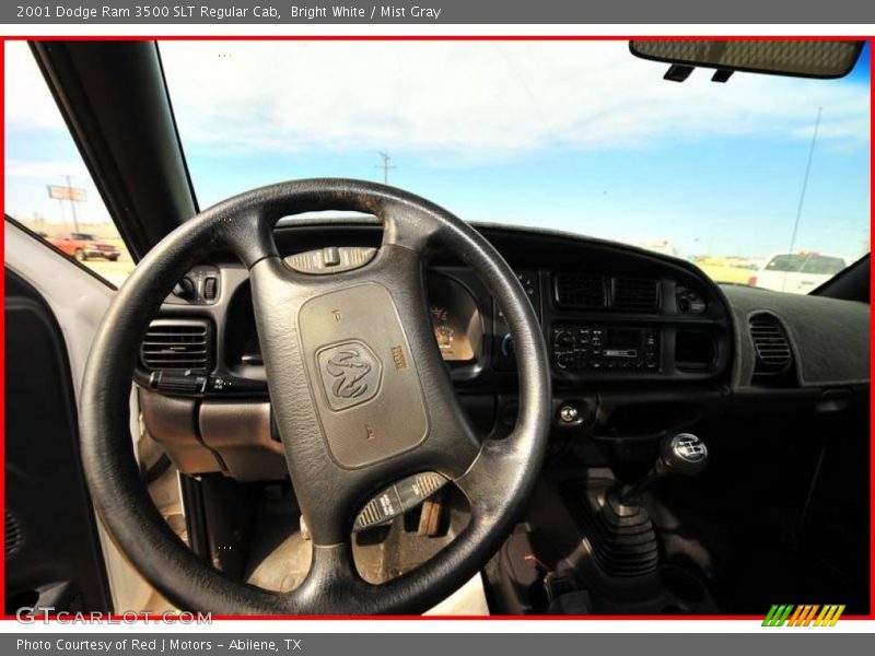 Bright White / Mist Gray 2001 Dodge Ram 3500 SLT Regular Cab