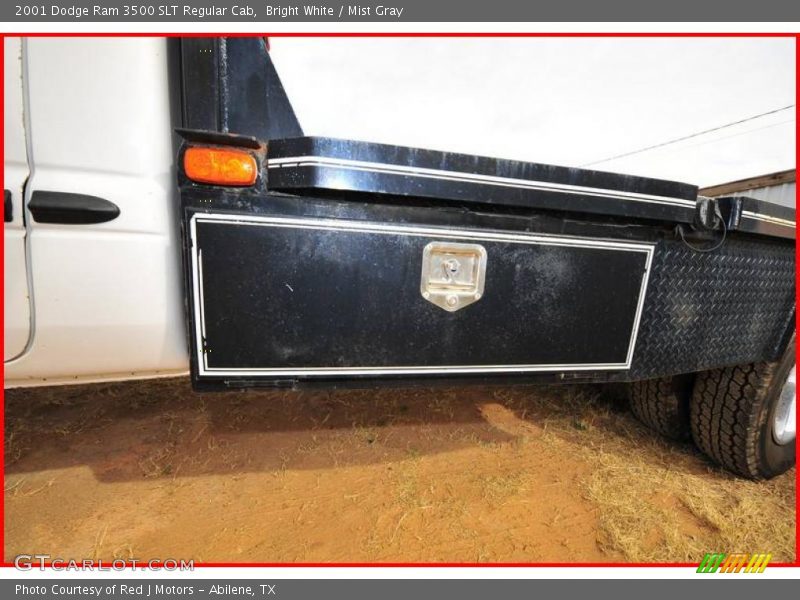Bright White / Mist Gray 2001 Dodge Ram 3500 SLT Regular Cab