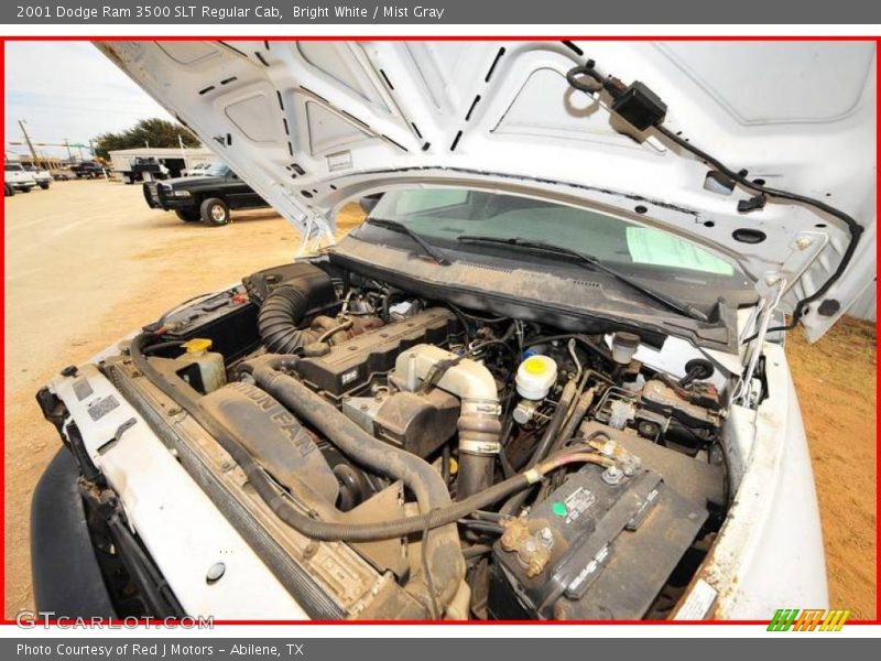Bright White / Mist Gray 2001 Dodge Ram 3500 SLT Regular Cab