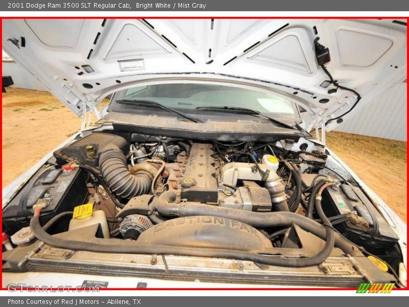Bright White / Mist Gray 2001 Dodge Ram 3500 SLT Regular Cab