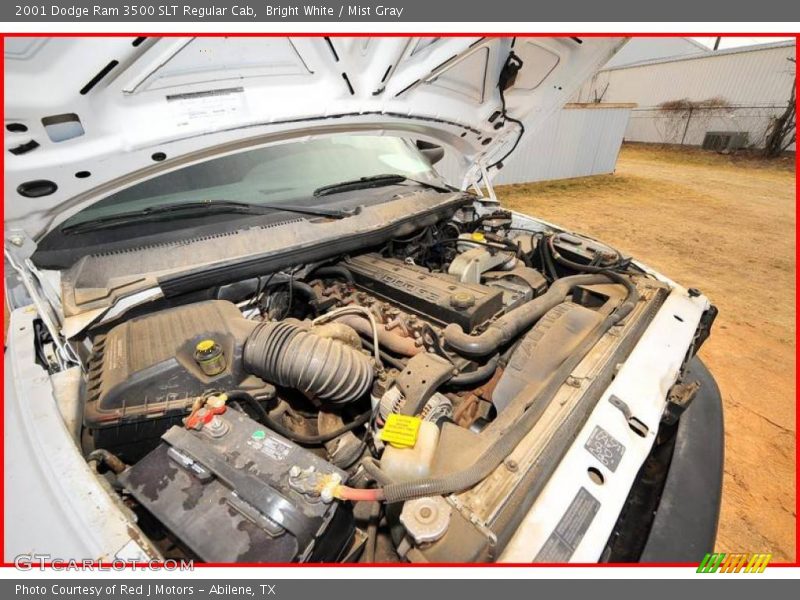 Bright White / Mist Gray 2001 Dodge Ram 3500 SLT Regular Cab