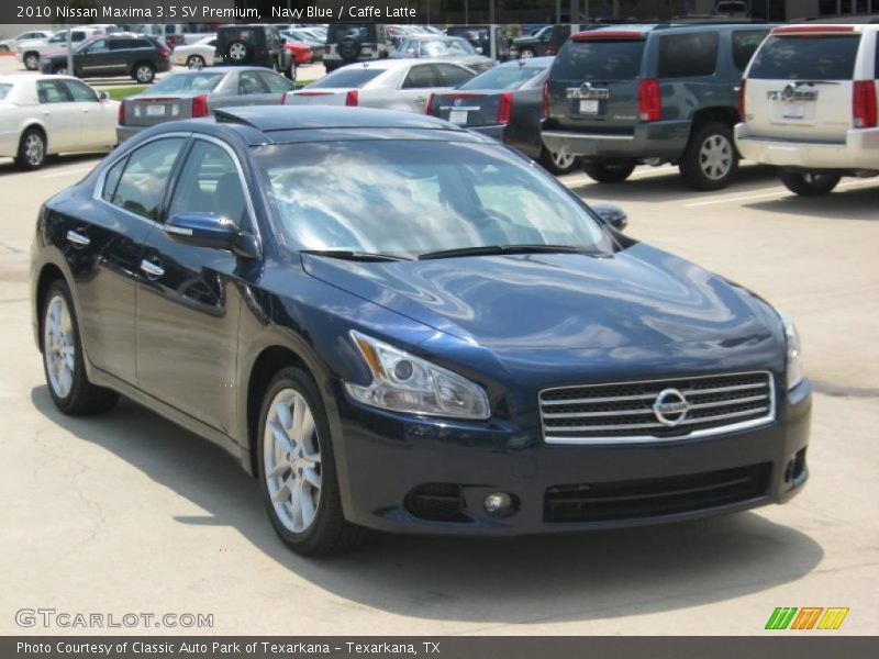 Navy Blue / Caffe Latte 2010 Nissan Maxima 3.5 SV Premium