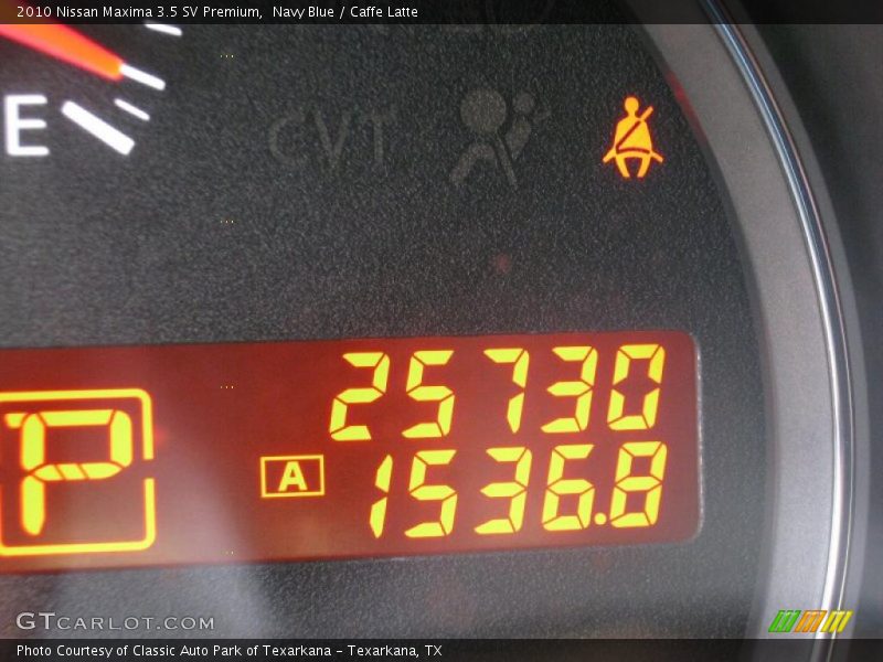 Navy Blue / Caffe Latte 2010 Nissan Maxima 3.5 SV Premium