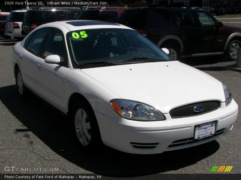 Vibrant White / Medium/Dark Flint 2005 Ford Taurus SEL