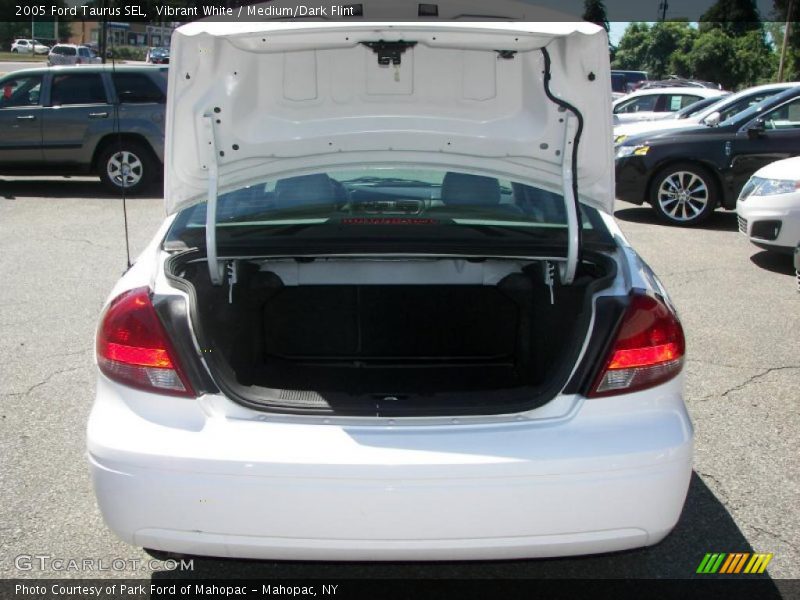 Vibrant White / Medium/Dark Flint 2005 Ford Taurus SEL