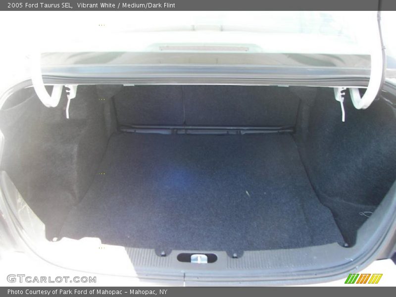Vibrant White / Medium/Dark Flint 2005 Ford Taurus SEL