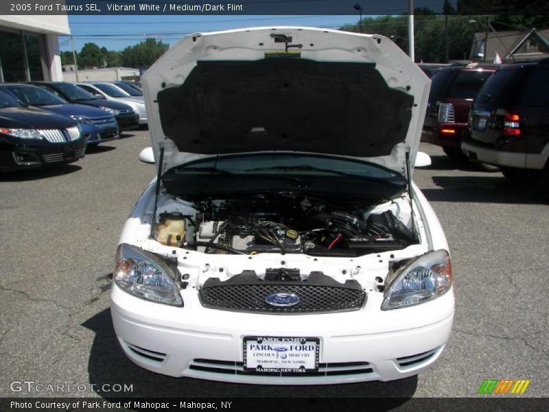 Vibrant White / Medium/Dark Flint 2005 Ford Taurus SEL