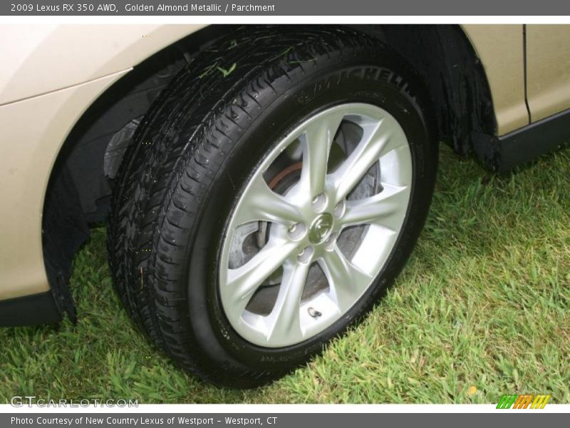 Golden Almond Metallic / Parchment 2009 Lexus RX 350 AWD