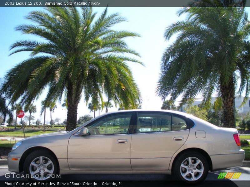 Burnished Gold Metallic / Ivory 2002 Lexus GS 300