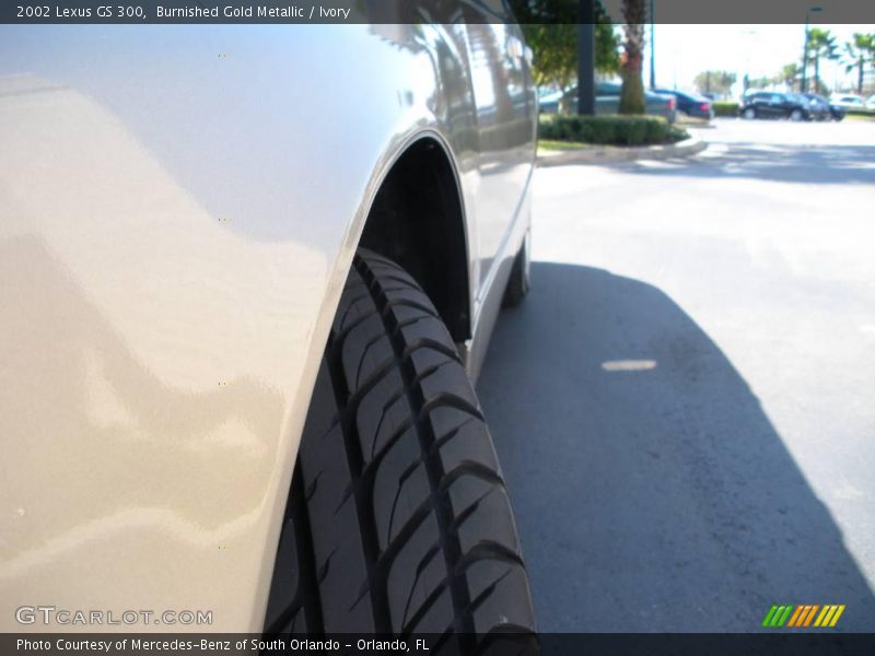 Burnished Gold Metallic / Ivory 2002 Lexus GS 300