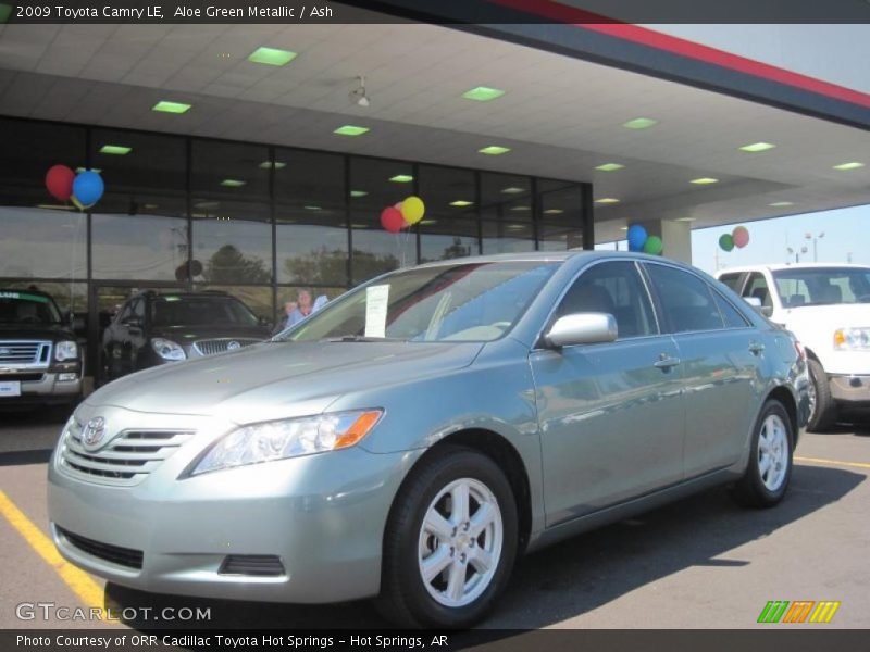 Aloe Green Metallic / Ash 2009 Toyota Camry LE