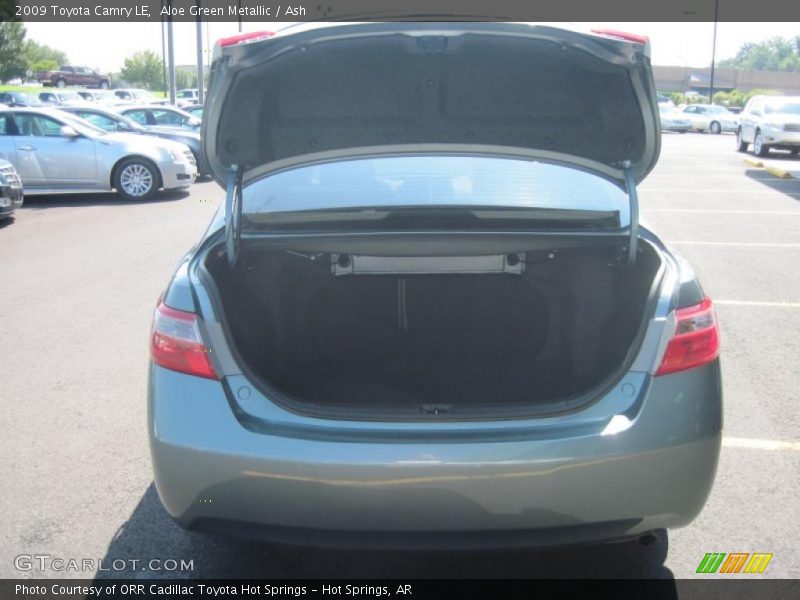 Aloe Green Metallic / Ash 2009 Toyota Camry LE