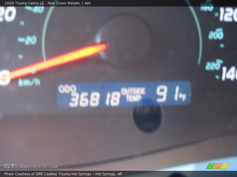 Aloe Green Metallic / Ash 2009 Toyota Camry LE