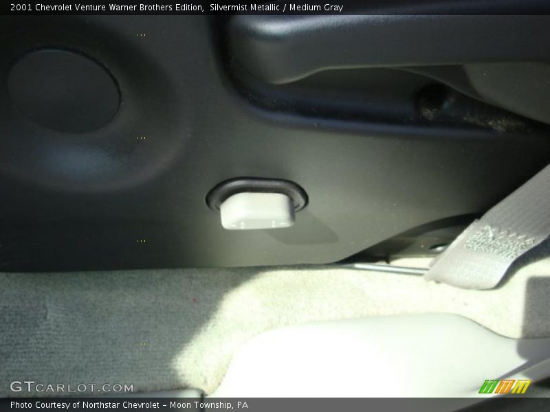 Silvermist Metallic / Medium Gray 2001 Chevrolet Venture Warner Brothers Edition