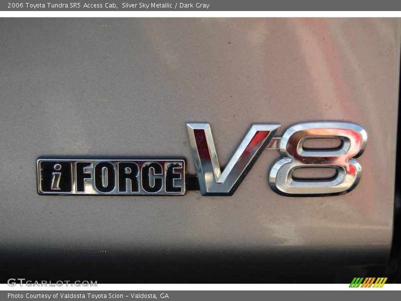 Silver Sky Metallic / Dark Gray 2006 Toyota Tundra SR5 Access Cab