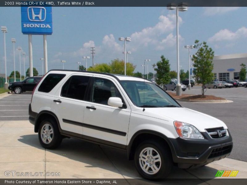 Taffeta White / Black 2003 Honda CR-V EX 4WD
