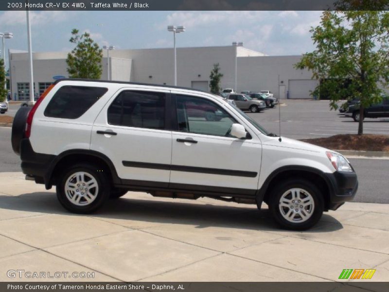 Taffeta White / Black 2003 Honda CR-V EX 4WD
