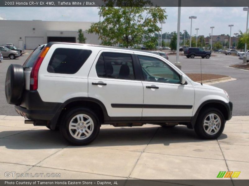 Taffeta White / Black 2003 Honda CR-V EX 4WD