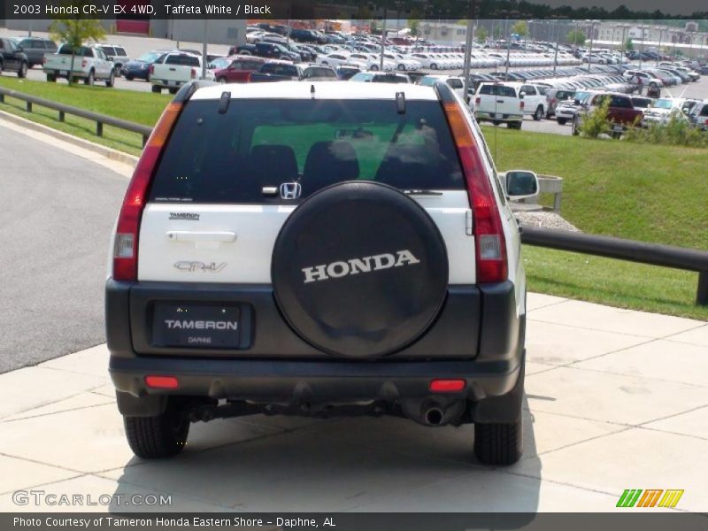 Taffeta White / Black 2003 Honda CR-V EX 4WD