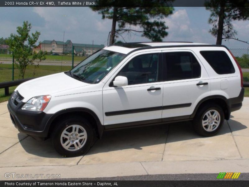 Taffeta White / Black 2003 Honda CR-V EX 4WD