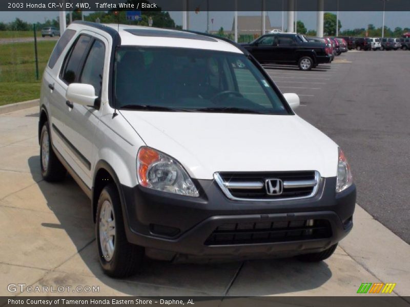 Taffeta White / Black 2003 Honda CR-V EX 4WD