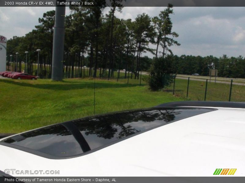 Taffeta White / Black 2003 Honda CR-V EX 4WD