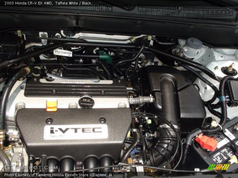 Taffeta White / Black 2003 Honda CR-V EX 4WD