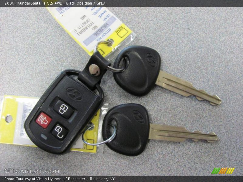 Black Obsidian / Gray 2006 Hyundai Santa Fe GLS 4WD