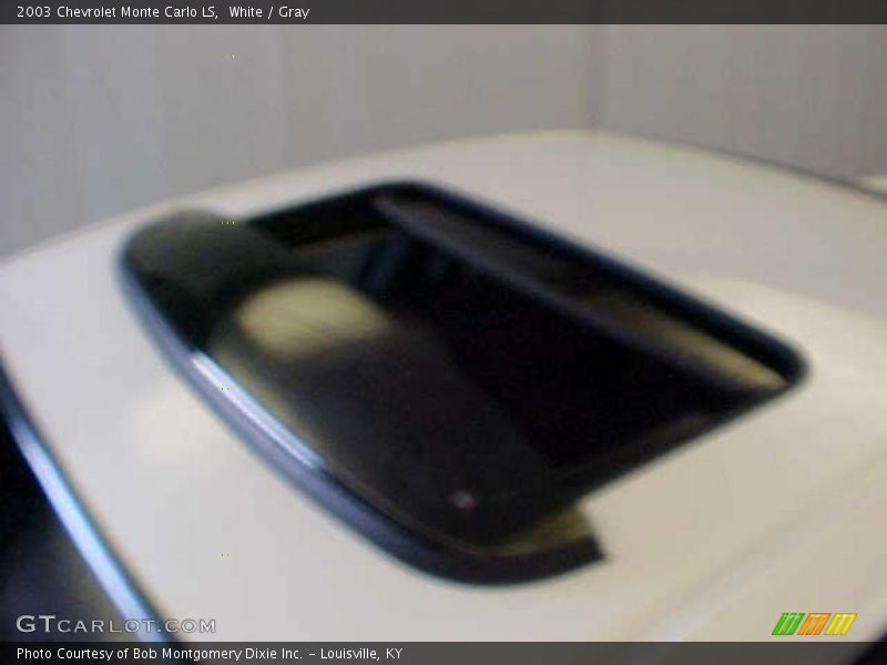 White / Gray 2003 Chevrolet Monte Carlo LS