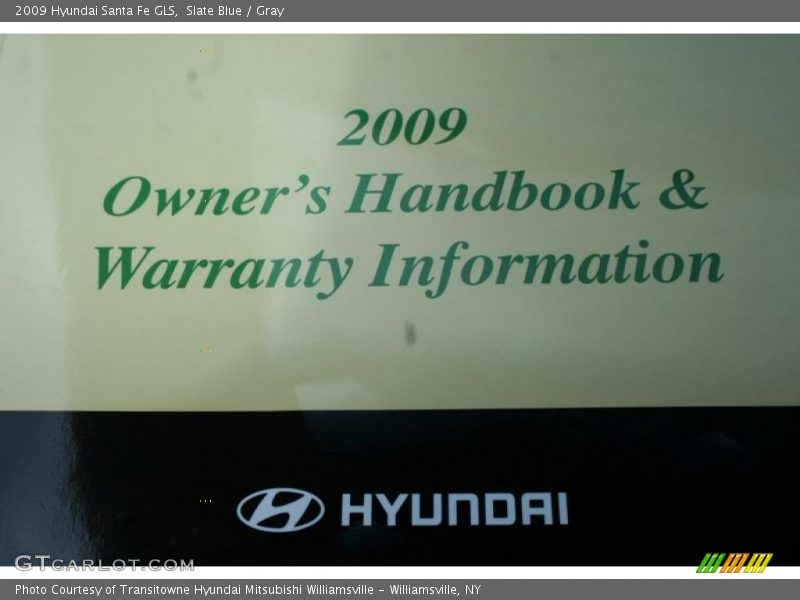 Slate Blue / Gray 2009 Hyundai Santa Fe GLS
