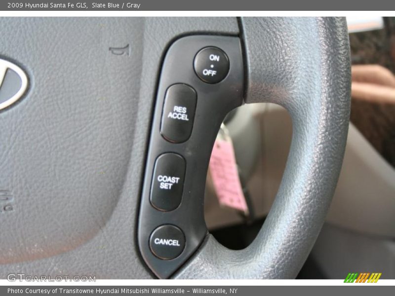 Slate Blue / Gray 2009 Hyundai Santa Fe GLS