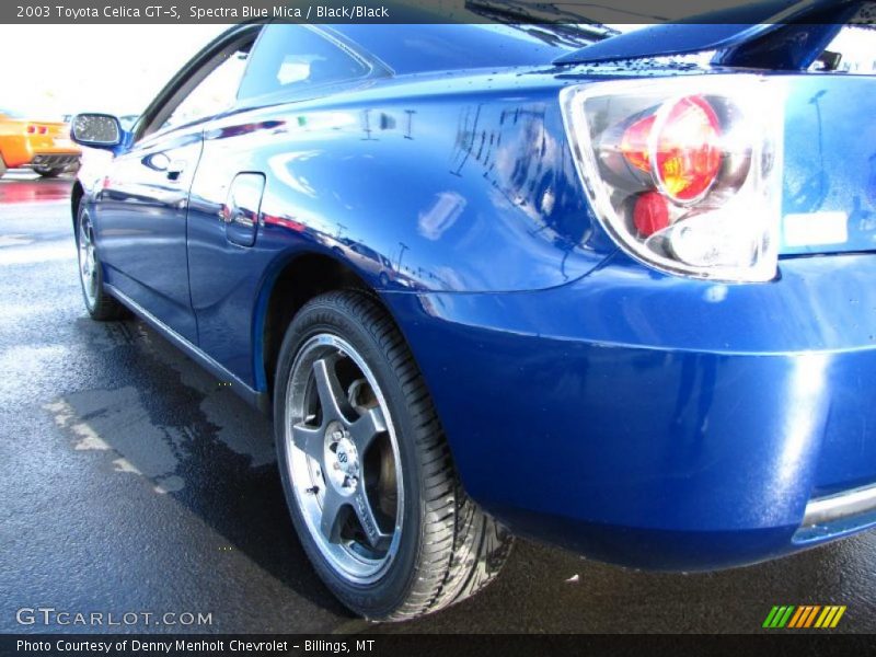Spectra Blue Mica / Black/Black 2003 Toyota Celica GT-S