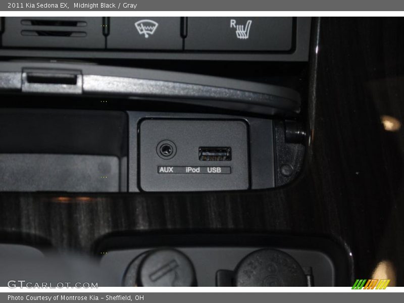 Midnight Black / Gray 2011 Kia Sedona EX