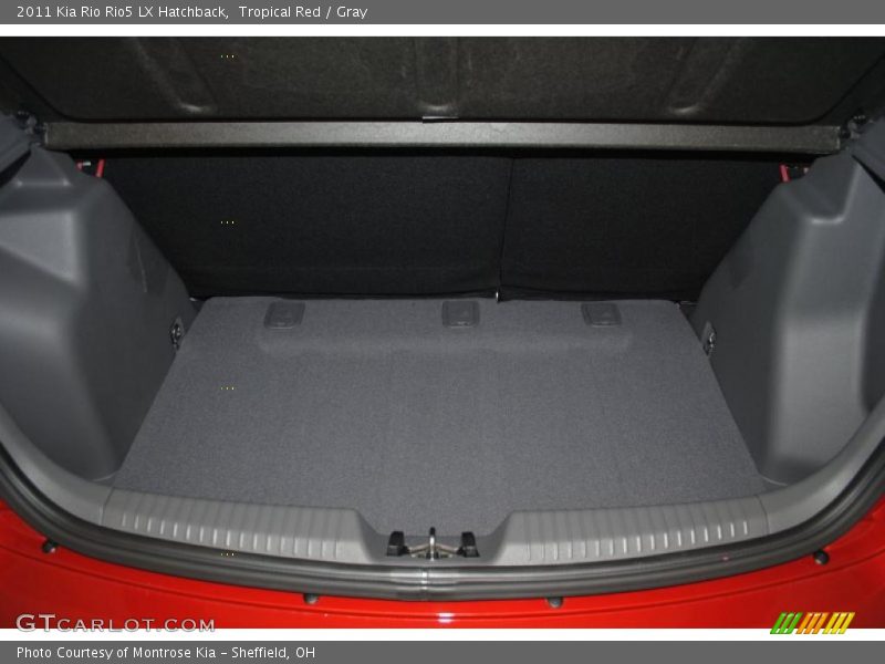 Tropical Red / Gray 2011 Kia Rio Rio5 LX Hatchback