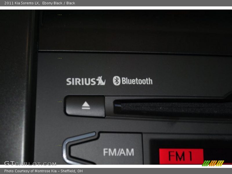 Ebony Black / Black 2011 Kia Sorento LX