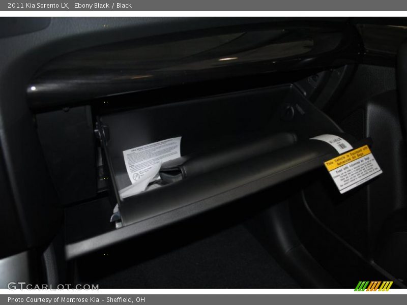 Ebony Black / Black 2011 Kia Sorento LX