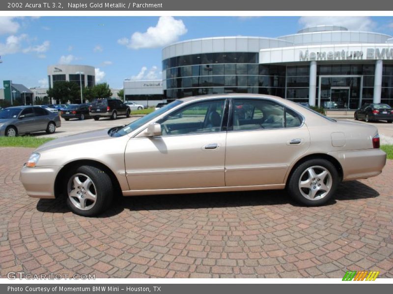 Naples Gold Metallic / Parchment 2002 Acura TL 3.2