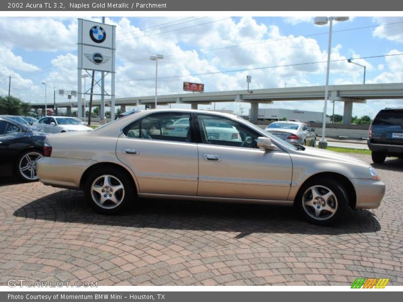 Naples Gold Metallic / Parchment 2002 Acura TL 3.2