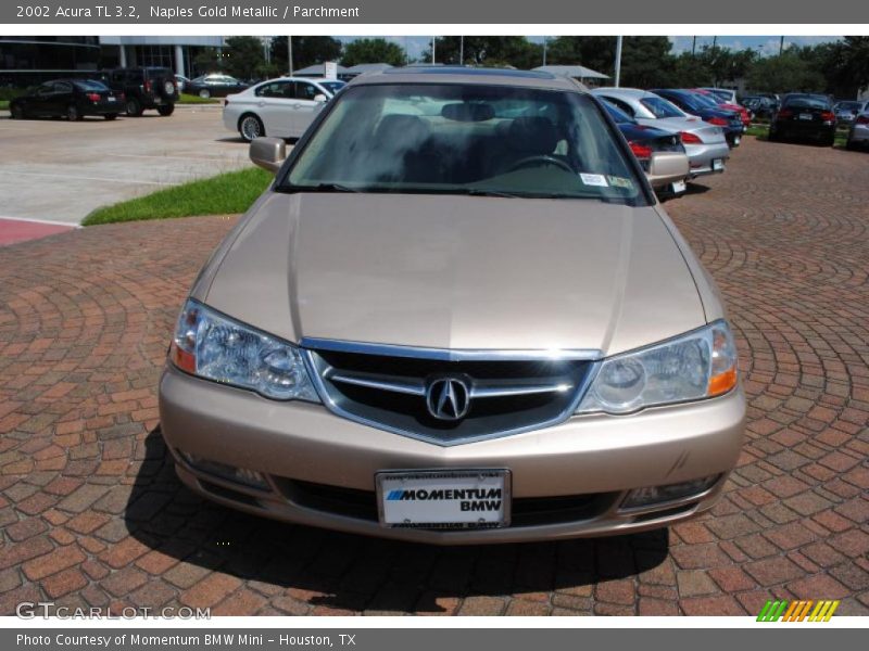 Naples Gold Metallic / Parchment 2002 Acura TL 3.2