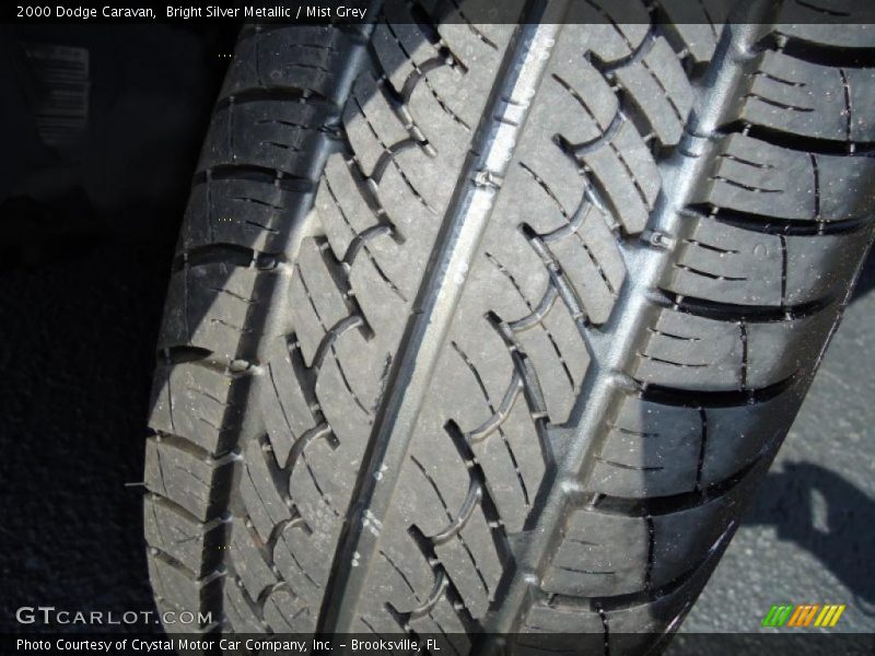 Bright Silver Metallic / Mist Grey 2000 Dodge Caravan