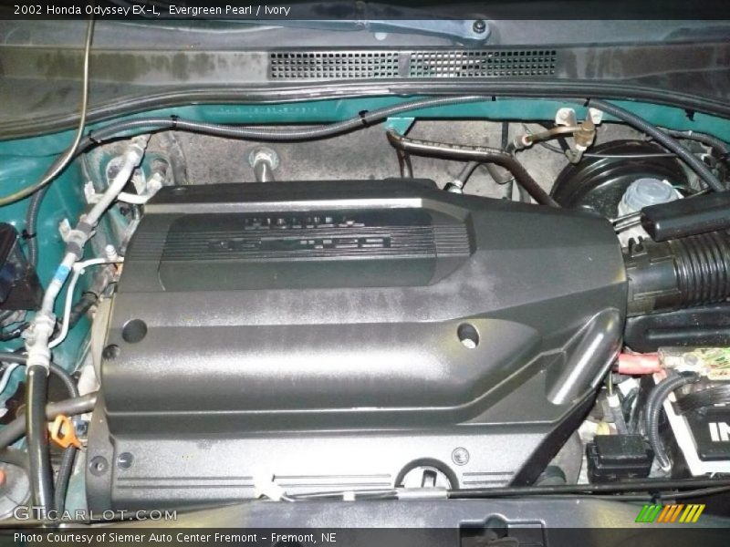 Evergreen Pearl / Ivory 2002 Honda Odyssey EX-L