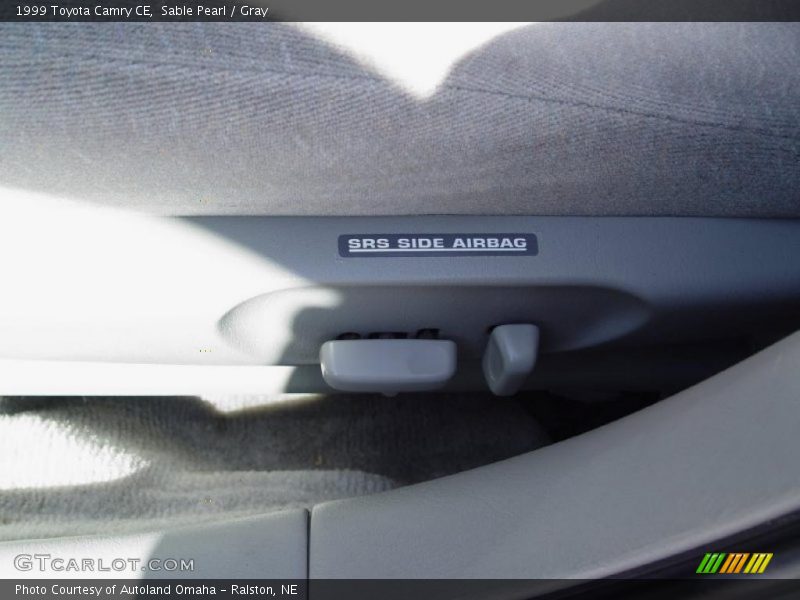 Sable Pearl / Gray 1999 Toyota Camry CE