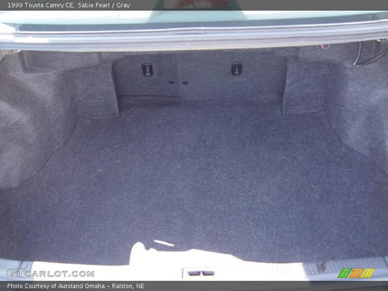 Sable Pearl / Gray 1999 Toyota Camry CE