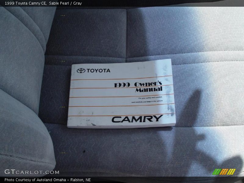 Sable Pearl / Gray 1999 Toyota Camry CE