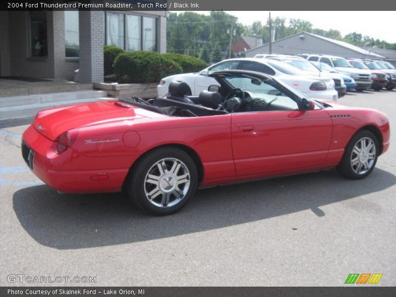Torch Red / Black Ink 2004 Ford Thunderbird Premium Roadster